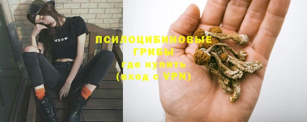 синтетический гашиш Алексеевка