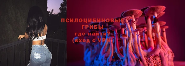 спиды Алзамай