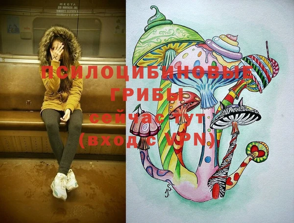 спиды Алзамай