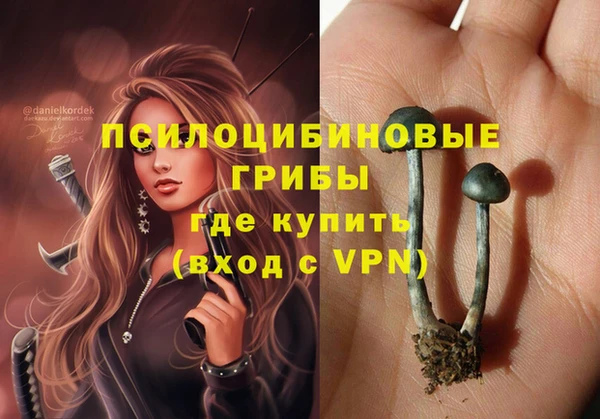 герыч Алексин