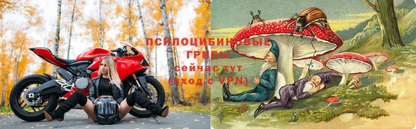 спиды Алзамай