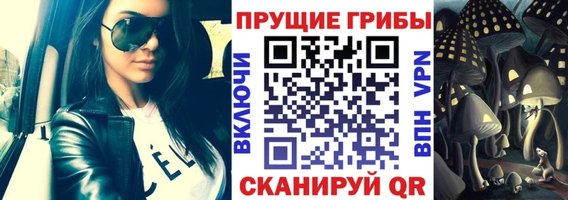 Псилоцибиновые грибы GOLDEN TEACHER  Белореченск 