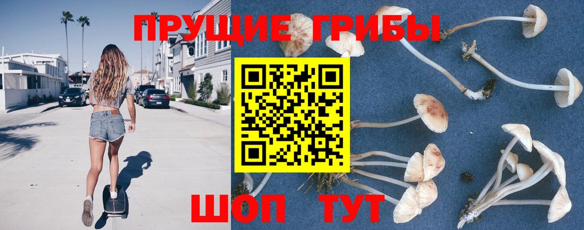 Белореченск  Галлюциногенные грибы ЛСД  Вход с VPN 
